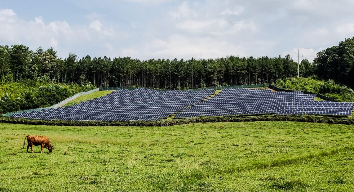 Photovoltaique autoconsommation revente