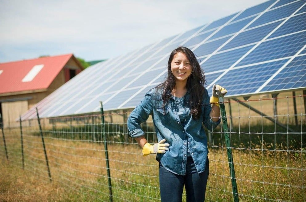 Le Photovoltaïque au sol pour les exploitation agricole
